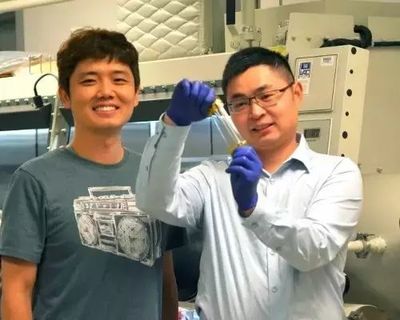 革命性創新 可伸縮電子產品中的“人造皮膚”突破電子元器件邊界